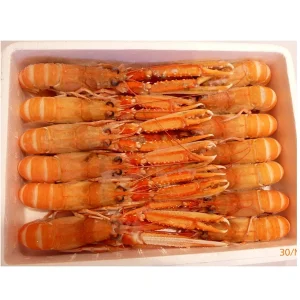 Cigala cajas 1,5 kg