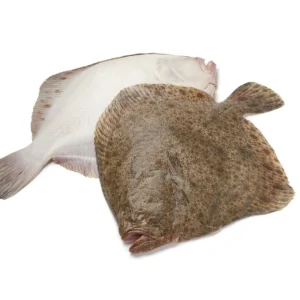Rodaballo racion